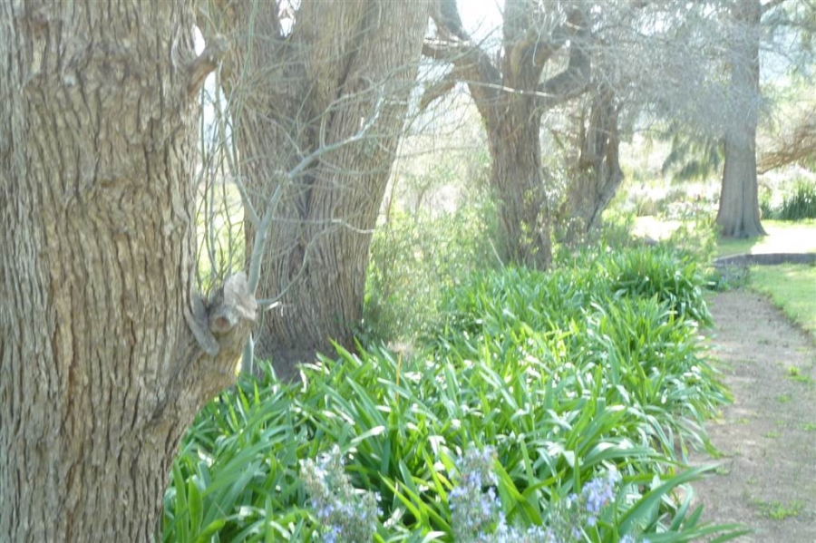 10 Bedroom Property for Sale in Ladismith Rural Western Cape